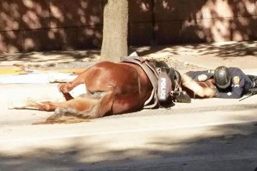 SVET U SUZAMA POSLE OVOG OPROŠTAJA: Tragična nesreća konja i policajca i njihovo poslednje zbogom!