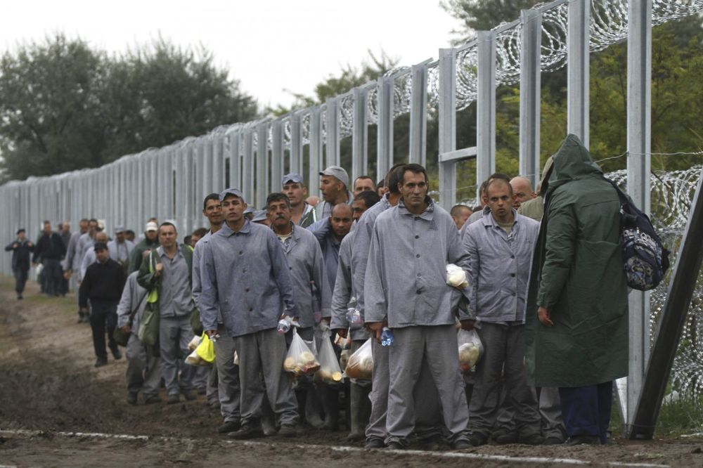 (FOTO) GRADE ZIDOVE: Evo ko pravi žicu koja treba da zaustavi migrante na putu ka Evropi