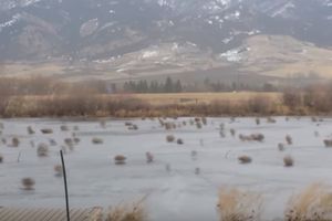 (VIDEO) KAO U KAUBOJSKIM FILMOVIMA: Kotrljajuće grmlje prekrilo grad u Montani