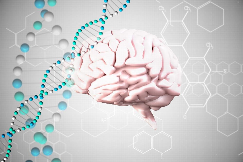 GENETSKA MANIPULACIJA: Ljudi bi u budućnosti mogli da postanu hiperinteligentni