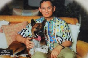 (VIDEO) S DUBOKIM POŠTOVANJEM: Smrt kraljevog psa glavna vest na Tajlandu
