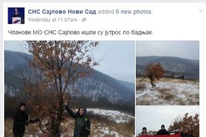 FOTKE KOJE SU MORALI DA OBRIŠU: Aktivisti SNS sekli hrast na Fruškoj gori i slikali se sa kokardama