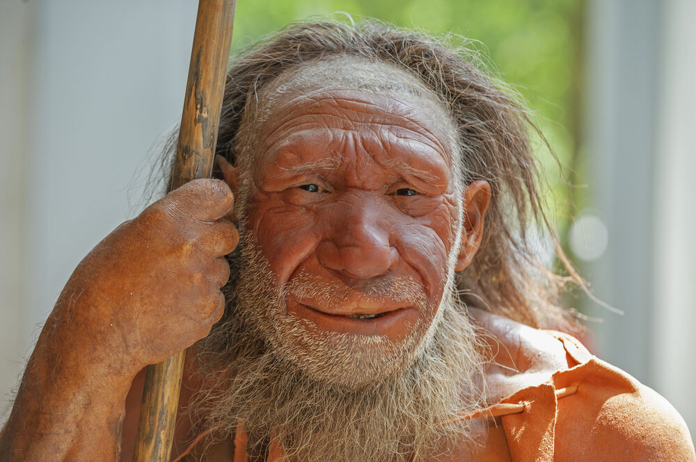Neandertalac