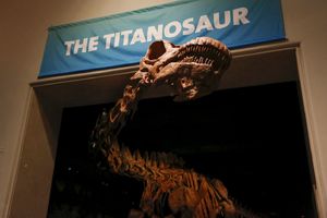 DUGAČAK SKORO 40 METARA: Džinovski dinosaurus iznenadio Njujorčane