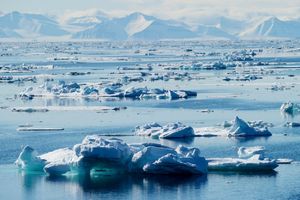 (FOTO) NAUČNICI PRONAŠLI DOKAZ: Ljudi su osvojili Arktik pre 45.000 godina