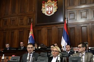 STEFANOVIĆ U SKUPŠTINI: Ministru MUP drastično se smanjuju ovlašćenja