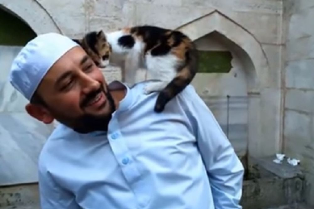 (VIDEO I FOTO) LJUDINA OD SVEŠTENIKA: Istanbulski imam primio u džamiju mačke da se ne smrznu!
