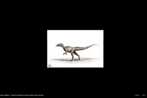 (VIDEO) U VELSU SU ŽIVELI ZMAJEVI: Pronađen dinosaurus star 200 miliona godina