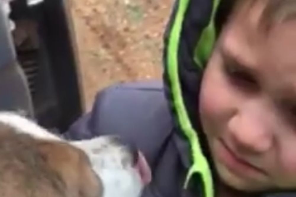 (VIDEO) SNIMAK KOJI JE RASPLAKAO MILIONE: Dirljiv susret dečaka sa njegovim izgubljenim psom