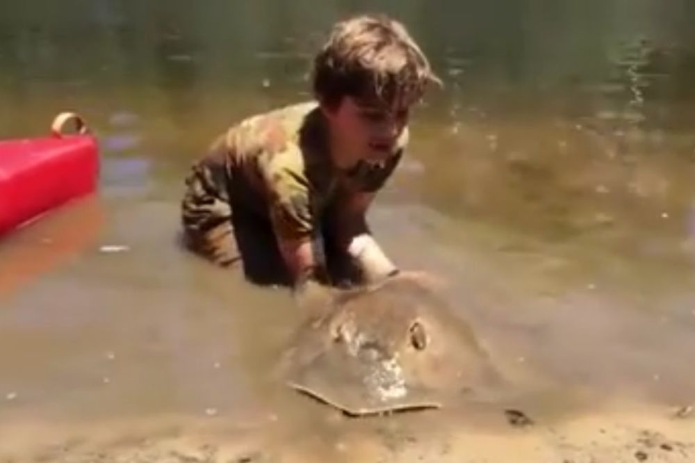 (VIDEO) Dečak je zabio ruke u blato kada je naišla raža! Ono što je uradio je vredno divljenja!