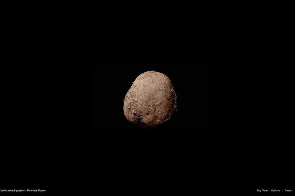 (FOTO) JEDNA OD NAJSKUPLJIH FOTOGRAFIJA NA SVETU: Da li znate koliko košta ovaj krompir?