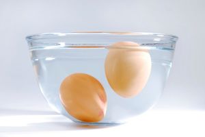 (VIDEO I FOTO) VEOMA KORISTAN TRIK: Evo kako da saznate koliko su stara jaja