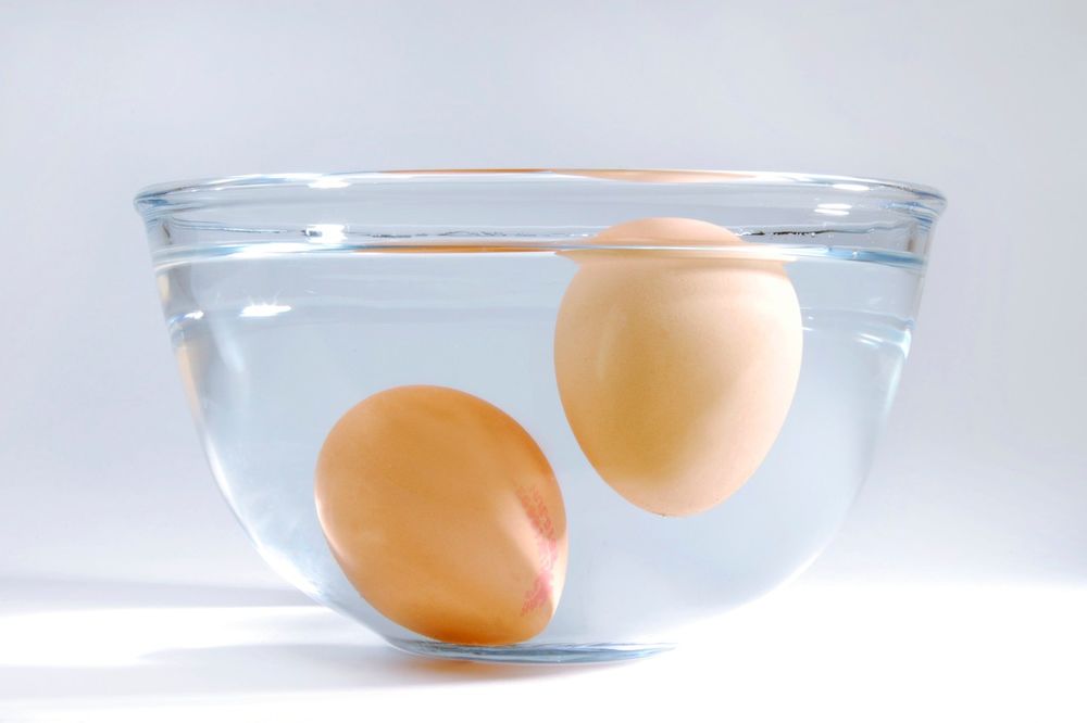 (VIDEO I FOTO) VEOMA KORISTAN TRIK: Evo kako da saznate koliko su stara jaja