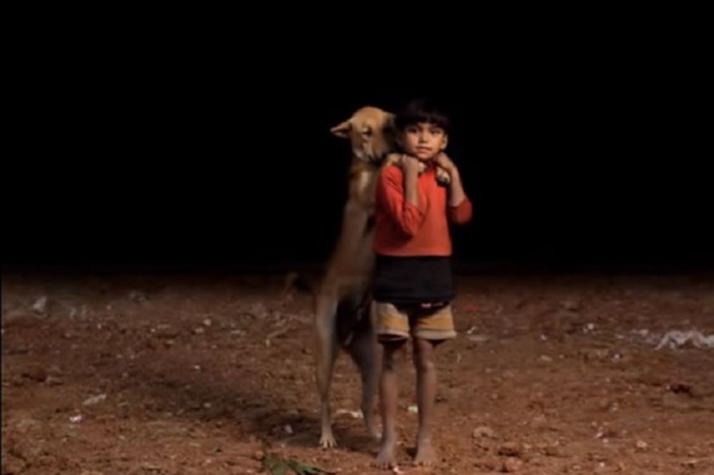 (FOTO) POTRESNE SLIKE DECE S ULICE: Napušteni dečaci nemaju ni za sebe, a dele hranu sa psima