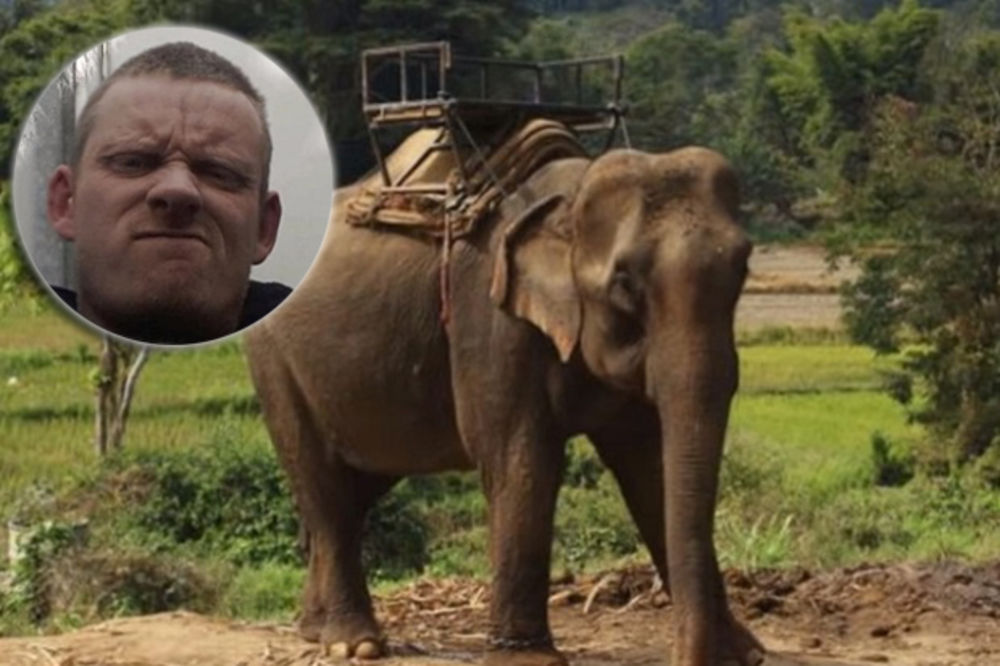IZLET POŠAO PO ZLU: Slon pregazio škotskog turistu na Tajlandu