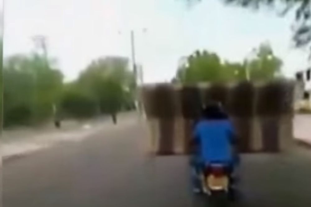 (VIDEO) SKUTER UMESTO KAMIONA: Voze trosed i svinje na motorciklu