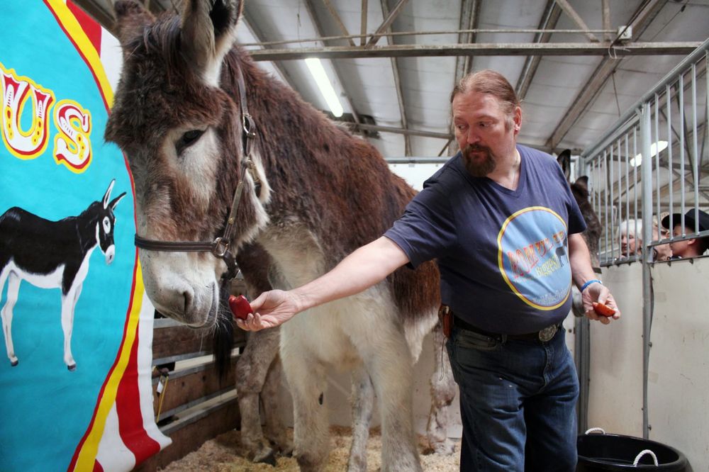 (VIDEO) SLATKIŠ: Ovo je Romul, najveći magarac na svetu!