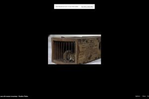 NAJNESREĆNIJI GLODAR NA SVETU: Zamka u muzeju postavljena pre 155 godina uhvatila miša