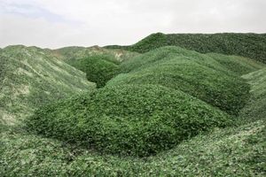 (FOTO) NADREALNA BRDA: Planine od stakla u Izraelu izgledaju kao da su sa druge planete