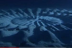 (VIDEO) IZNENADIĆETE SE: Evo ko je stvorio ove misteriozne šablone na dnu okeana