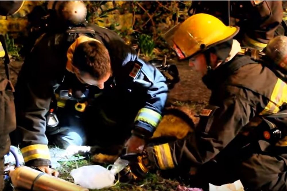 (VIDEO) Vatrogasci su iz kuće u plamenu izvukli mrtvog psa. Posle 20 minuta se dogodilo pravo čudo!