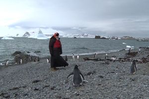 (FOTO,VIDEO) KIRIL U ŠETNJI SA PINGVINIMA: Ruski patrijarh posetio Antarktik