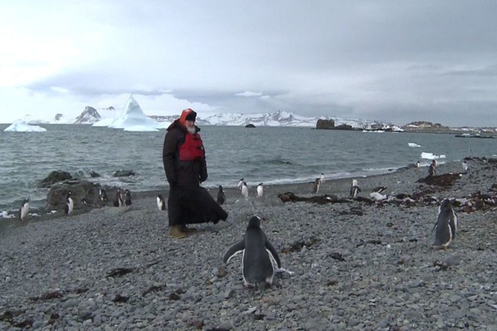 (FOTO,VIDEO) KIRIL U ŠETNJI SA PINGVINIMA: Ruski patrijarh posetio Antarktik