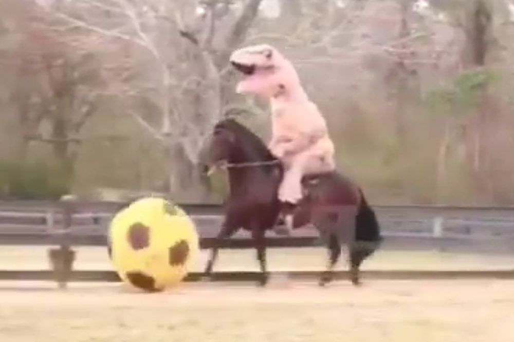 (VIDEO) OVO ĆE VAS ZAPREPASTITI: Evo kako Faustino Asprilja uči konja da igra fudbal