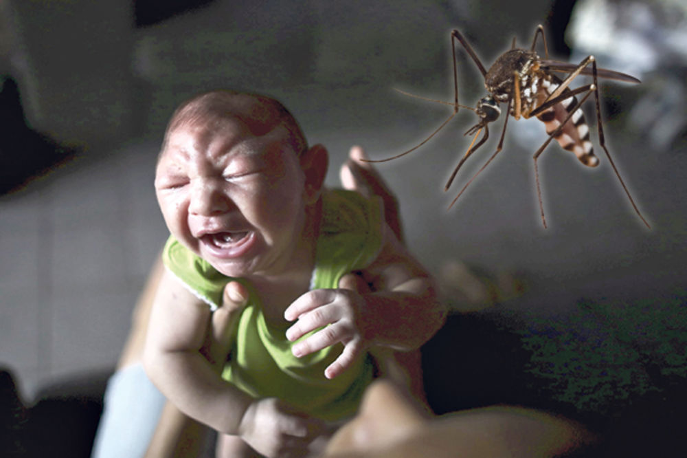 PANIKA ŠIROM SVETA: Virus zika je oružje za uništenje i kontrolu ljudi
