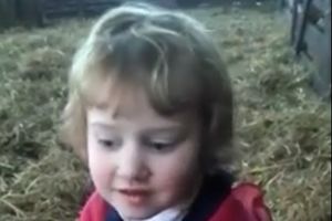 (VIDEO) MALI HEROJ: Trogodišnja devojčica pomogla ovci da na svet donese divno jagnje