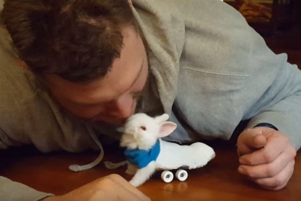 (VIDEO) Pronašao je paralizovanog zeku, a onda je učinio neverovatnu stvar za njega