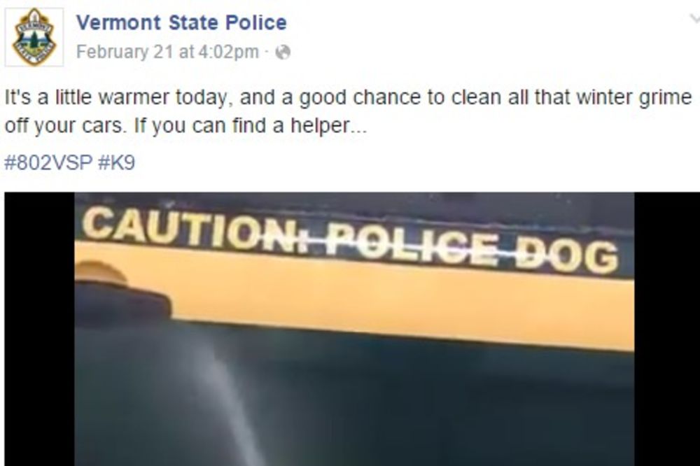 (VIDEO) VIDELO GA VIŠE OD 270.000 LJUDI: Ovako policijski pas pomaže u pranju službenog auta
