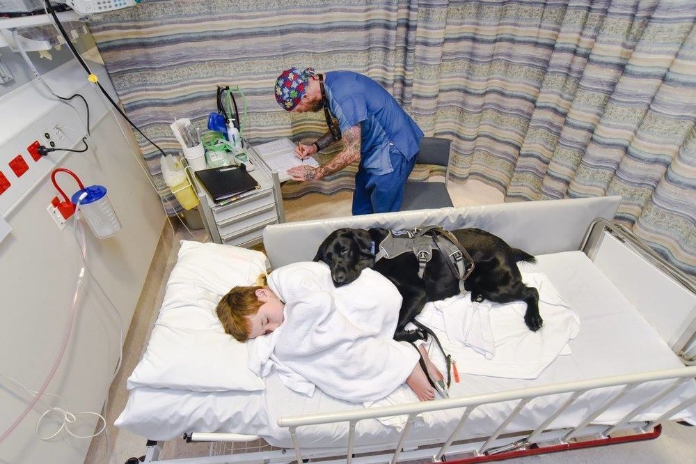 ON JESTE NJEGOV NAJBOLJI PRIJATELJ NA SVETU: Pas koji je odbio da dečaka pusti na operaciju samog!