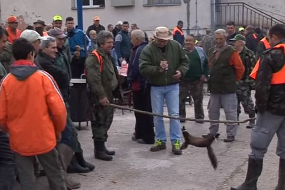 (VIDEO) NIŠKA ŠAKALIJADA: U hajci 500 lovaca odstreljeno 5 šakala i 3 lisice