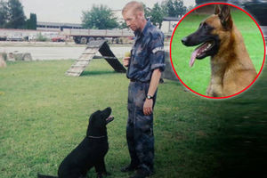UMRO OD TUGE: Policijski pas iz Novog Sada uginuo na dan sahrane svog vodiča