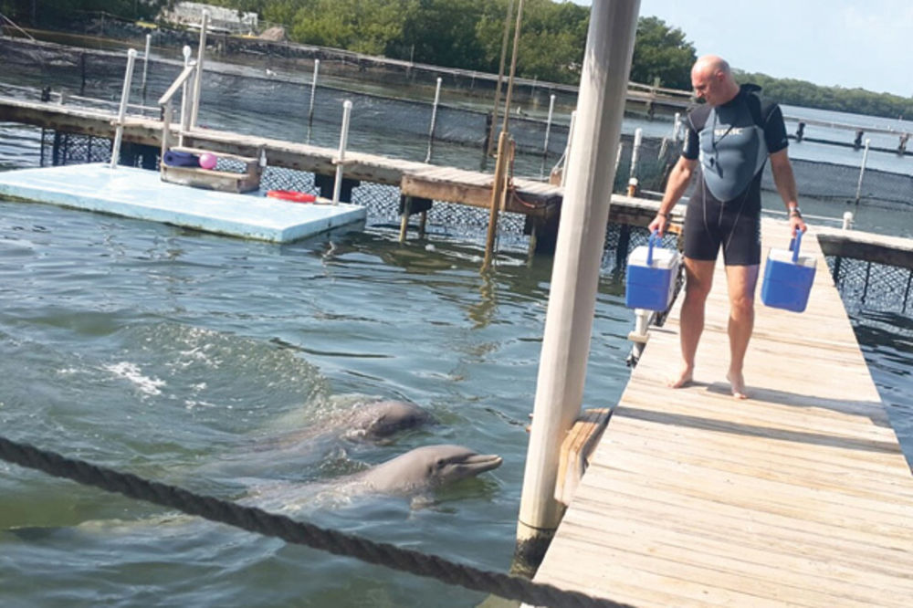 NOVI HOBI: Mili se na Floridi uči da bude trener delfina!