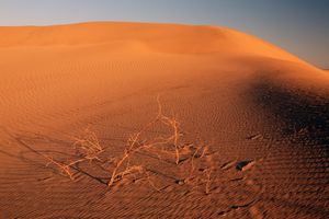 (FOTO) JEDAN DEČAK IMA ZANIMLJIV PLAN: Kako preživeti u pustinji?