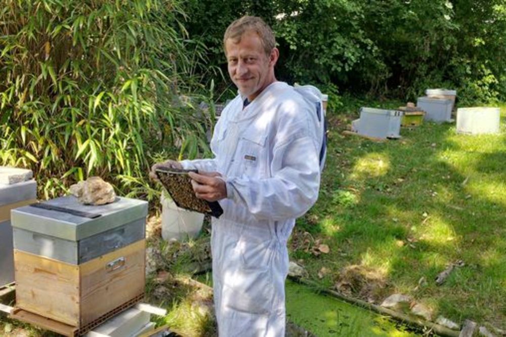(VIDEO) OVAJ ČOVEK PRAVI MED OD MARIHUANE: Istrenirao je pčele da skupe smolu iz kanabisa