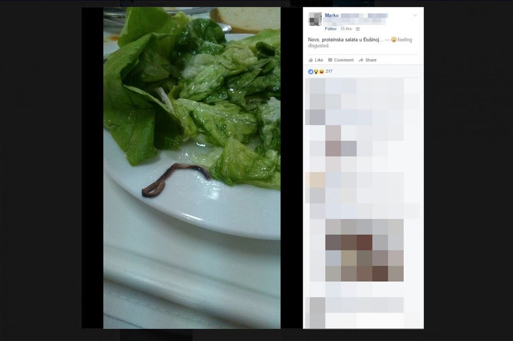 (FOTO) STUDENTSKA PROTEINSKA: Beogradski akademac u salati dobio kišnu glistu gratis!