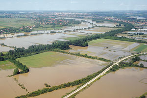 POPLAVE U SRBIJI: Voda je uništila malinjake i pšenicu, a stoka pretekla