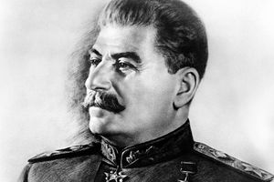 (FOTO) IVER PAO DALEKO OD KLADE: Nećete verovati kada vidite kako izgleda Staljinova unuka