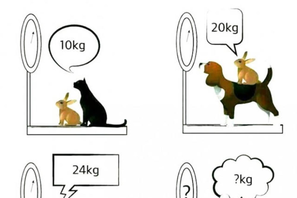 TEST ZA MOZAK: Koliko su teški pas, mačka i zec?