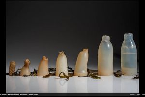 ZELENA ALTERNATIVA PLASTICI KOJA OBEĆAVA Ovo je biorazgradiva flaša za vodu i napravljena je od algi