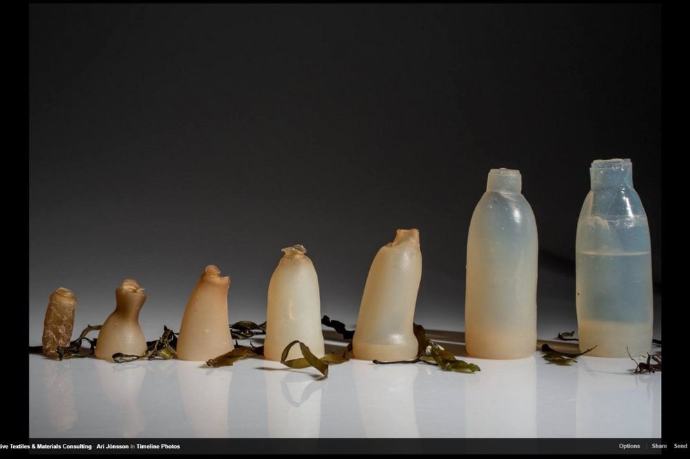 ZELENA ALTERNATIVA PLASTICI KOJA OBEĆAVA Ovo je biorazgradiva flaša za vodu i napravljena je od algi
