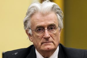 ŠOK I NEVERICA NAKON PRESUDE: Ovo su Karadžićeve prve reči posle haške odluke