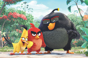 NOVA AVANTURA: Crtani film i album sa sličicama Angry Birds u maju doleću u Srbiju