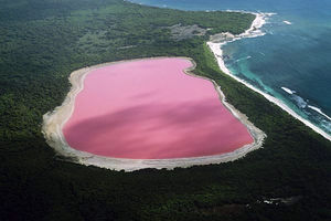 Rešena misterija ružičastog jezera Hiler u Australiji