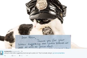 NA PREDLOG PETOGODIŠNJE DEVOJČICE: Britanska policija regrutuje mačke da se bore protiv kriminala