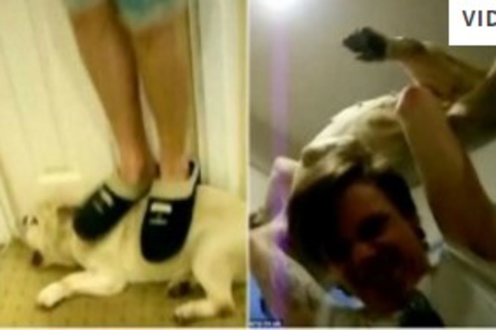 (UZNEMIRUJUĆI VIDEO 18+) SKANDALOZNO BLAGO OSUĐENI: Skakali po psu i bacali ga dok nije umro!