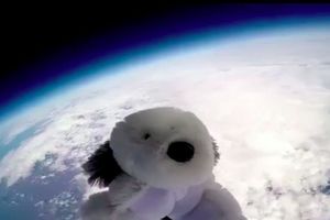 (VIDEO) JESTE LI VIDELI OVOG PSA? Plišana igračka nestala u svemiru, svi ga traže